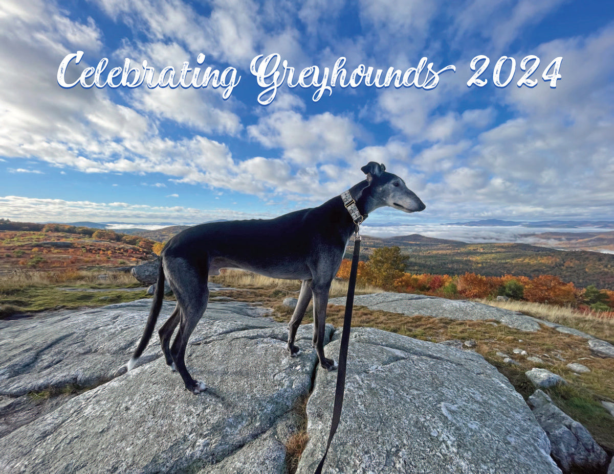 Celebrating Greyhounds 2024 Calendars Adoption Group Orders
