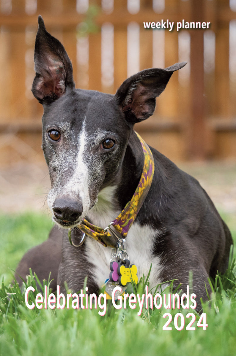 Celebrating Greyhounds 2024 Calendars Adoption Group Orders