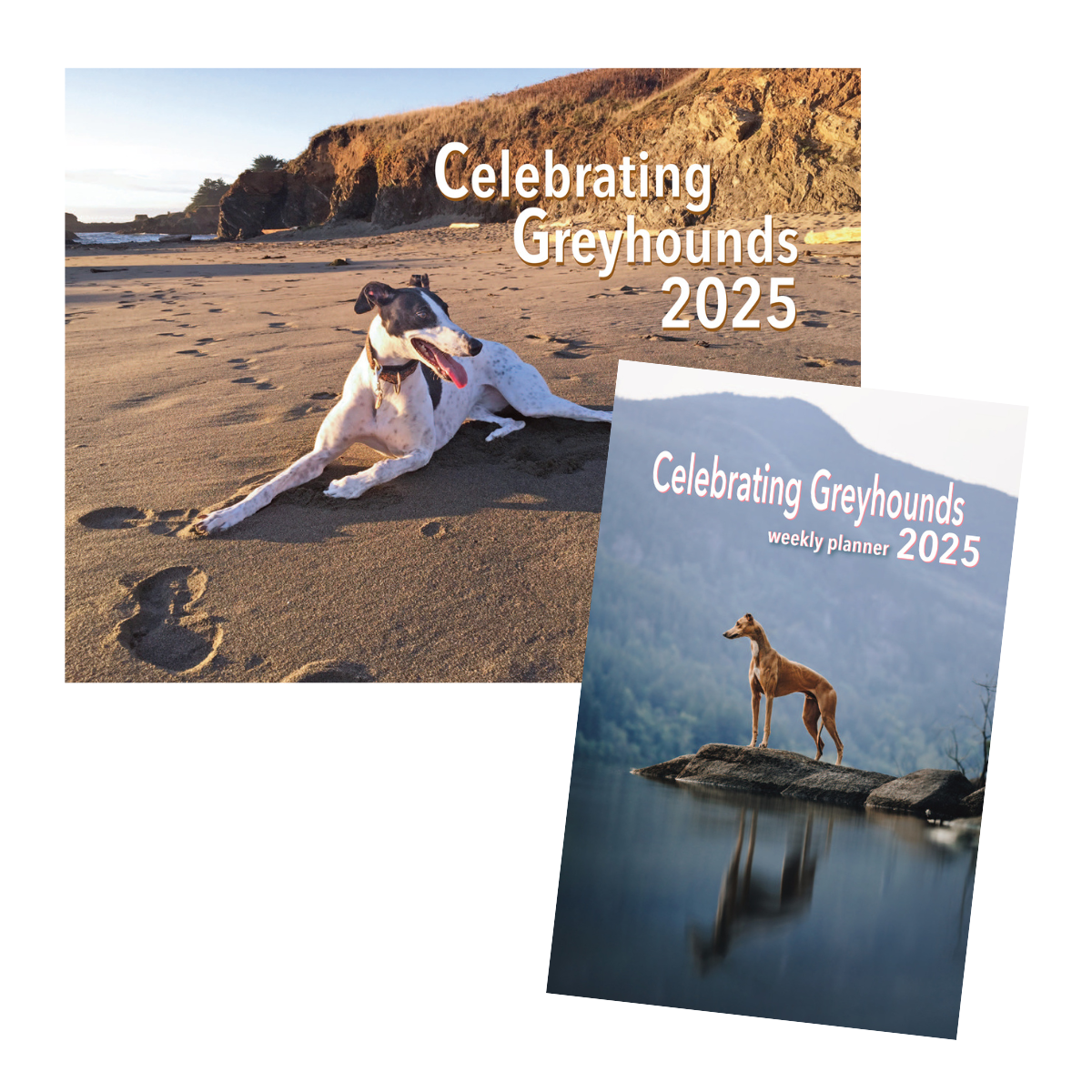 Celebrating Greyhounds 2025 Calendars Adoption Group Orders