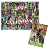 Celebrating Greyhounds 2024 Wall Calendar & Weekly Planner
