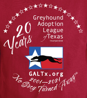 GALT's 20th Anniversary Tee (Unisex & Ladies V-Neck Available)